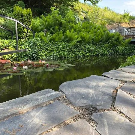 Apartment Bungalov U Draka Vresina